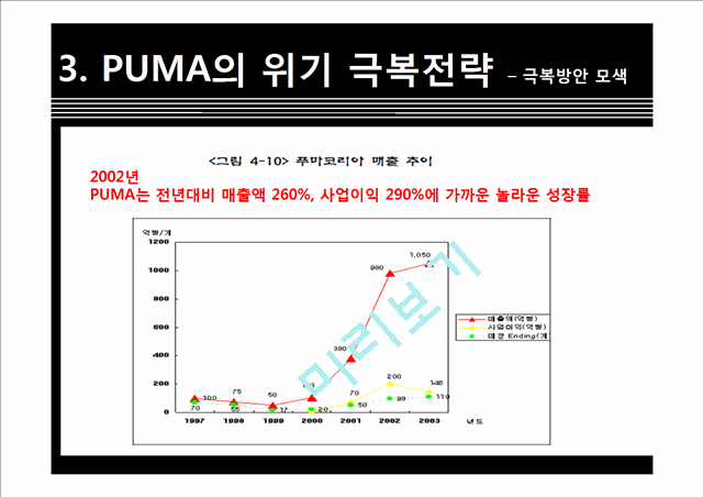 푸마 PUMA 위기극복위한 마케팅전략 분석및 푸마 소비자행동분석   (6 )